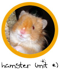 Hamstermitstern.jpg