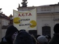 ACTA-Polen-05.jpg