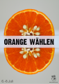 HSG Uni Potsdam StuPa Wahl 2010 Plakat Orange Waehlen.png